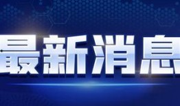 跳蛋阅读视频,探索阅读乐趣与技巧的全新视角