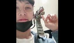 国产福利小视频,展现中国创意与温情瞬间